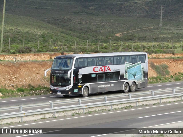 Cata Internacional 2025 na cidade de Brasil, por Martín Muñoz Collao. Número da foto: #6143462.