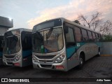 Ribe Transporte 1350 na cidade de Guarulhos, São Paulo, Brasil, por Atilio Torres. Número da foto: #6143334.