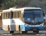 Parex Transporte e Logística 5316 na cidade de Conselheiro Lafaiete, Minas Gerais, Brasil, por Rodrigo  Aparecido. Número da foto: #6148442.