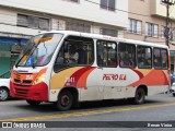 Petro Ita Transportes Coletivos de Passageiros 2041 na cidade de Petrópolis, Rio de Janeiro, Brasil, por Renan Vieira. Número da foto: #6148510.